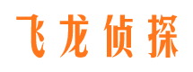 龙亭侦探公司